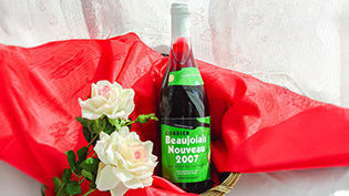 �R�[�f�B�A�Ђ̃{�W�����[�E�k�[�{�[
