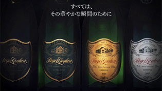 �X�p�[�N�����O���C���E�J���@