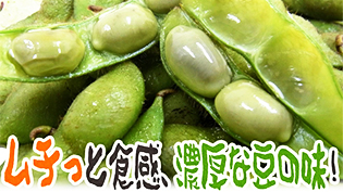 京都・丹波の黒豆紫ずきん