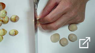 ���Â��ŋ�ǂ̊k���ނ����@