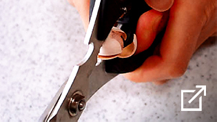 �L�b�`���o�T�~�ŋ�ǂ̊k���ނ����@