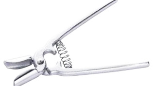 �L��̋�Ǌ���