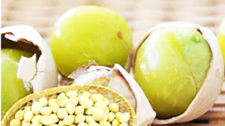 ����Y���