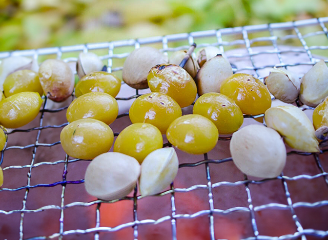 �H�̍���̋�ǏĂ�