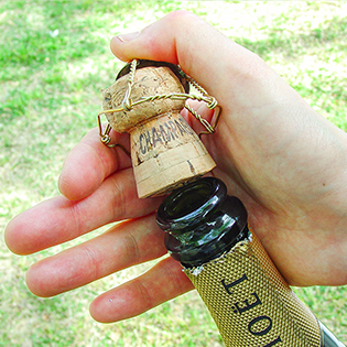 �V�����p���i�X�p�[�N�����O���C���j