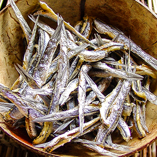 ���肢�肱�i�ϊ����j