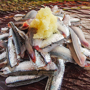 ���C���V�̎h�g�̍���