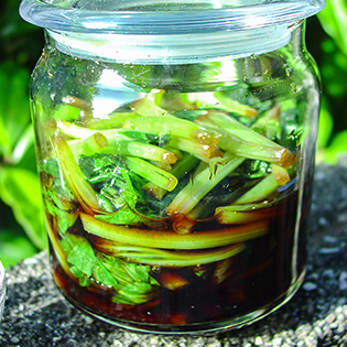 �킳�т̗t�̏ݖ��Ђ��̍���