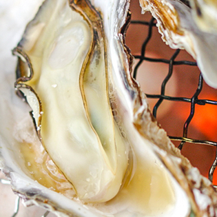 �Ă����y�̍���