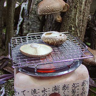 �Ă��ő��̍���