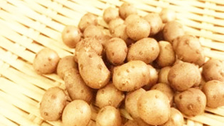 ���挧�Y�ނ���