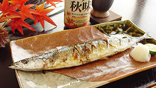 ��ɐ����đ卪���낵�Ƃ�������Y����