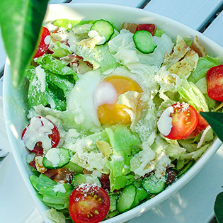 �V�[�U�[�T���_�̍���