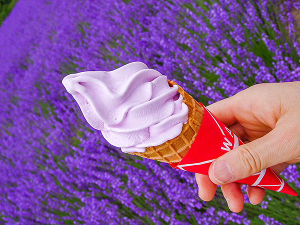 ラベンダーソフトクリーム