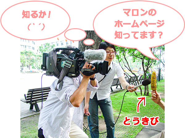 �k�C���e���r�̎�ނ��󂯂܂���