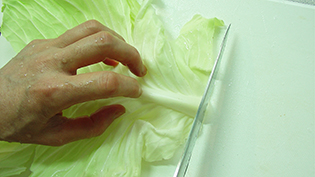 �L���x�c�̐c�̌ł������́A�@�ۂɑ΂��Đ����ɐ؂�