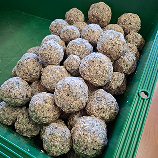 �����̕č����X