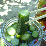 ���イ��̃s�N���X�̍���