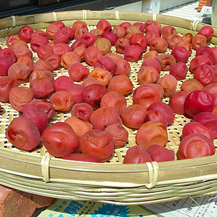 �~�����̍���