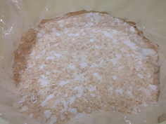 ���N7���̓V�n�Ԃ��A10���̊�����҂d���ݒ���̖��X