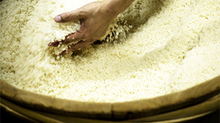 �F�{���̌Î����W�����ō�����č�