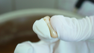 ����e�w�Ə��w�ł܂�ŊȒP�ɒׂ�邩�ǂ������`�F�b�N����