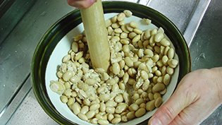 ���蔫�ɓ���Ă��肱�؂łԂ�