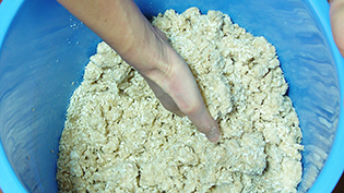 ���؂荍�Ɛl���ɗ�܂����哤�������ɂȂ�Ȃ��悤�������荬�����킷