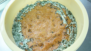 �d�΂��������ĂȂ��Ƃ��납��J�r����������