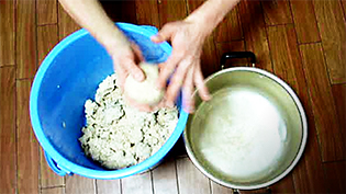 ����F���X�c�q�����l�q