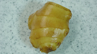 �����t���̍ޗ��F���I������Ƃ����ς肵�����킢�ɂȂ�