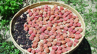 �̂Ȃ���̕��@�ō�����~����