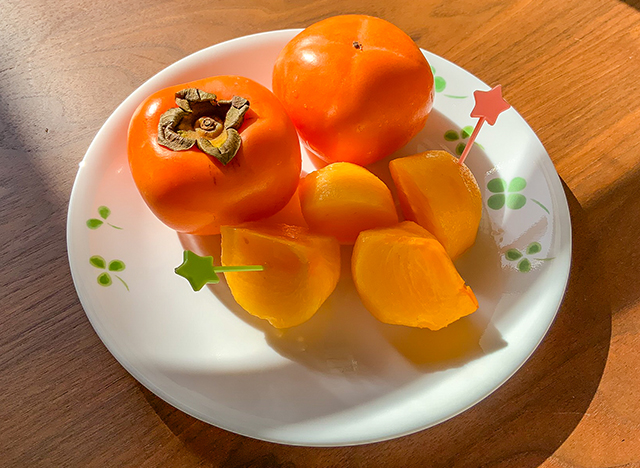 ����F�`�̃w�^�ɏĒ���Z���ă|���܂ɓ���ĒE�a������@