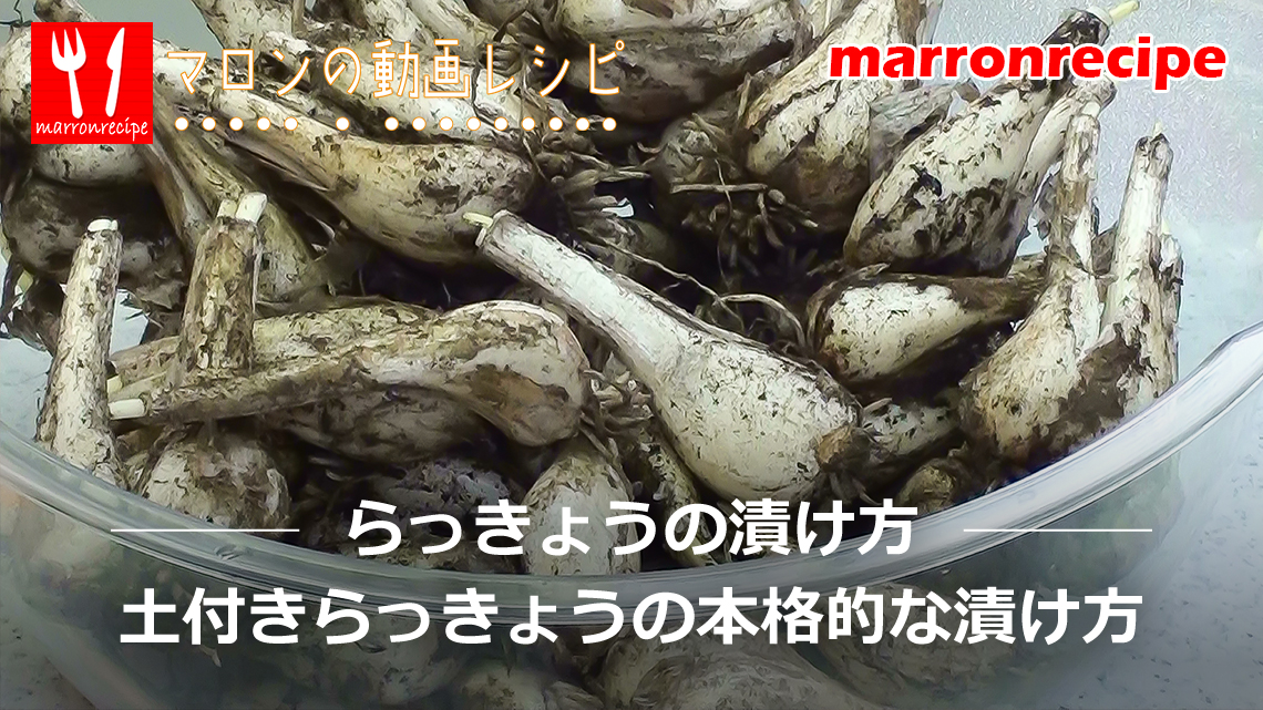 ����F�y�t��������傤�̖{�i�I�ȒЂ���