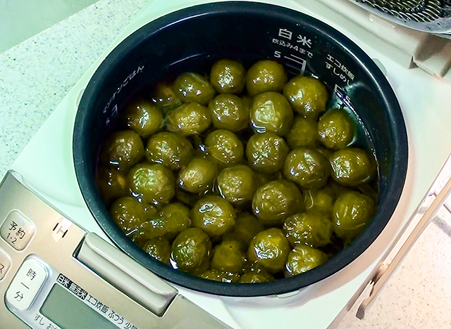 ����F���ъ�ō��~�W���[�X