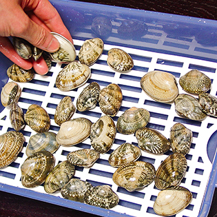 ������̍������̕��@