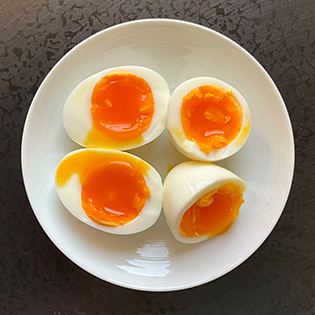 �_�ѐ��Y�Ȃ̔��n��ŗ��̍���