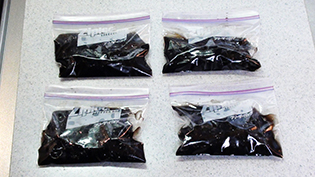 �����̓t���[�U�[�o�b�O�ɎϏ`���Ə��������ėⓀ�ۑ�����