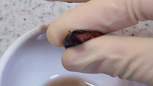 �w�œ����c�Ɏ����ăX���[�Y�ׂ����Ƃ��ł���΁A�Ϗオ�����؋�