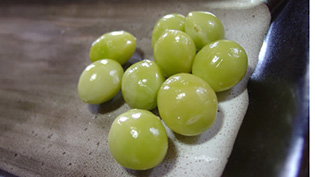 䥂łĐ��ɂ��炵�Ĕ�����͂������