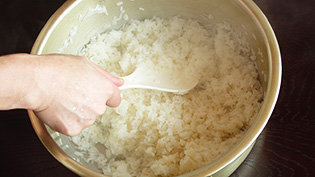 炊き立てのご飯をボウルに移し、合わせ酢をご飯に回しかけ、しゃもじで切るように混ぜている