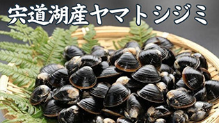 宍道湖産ヤマトシジミ(真空冷凍)