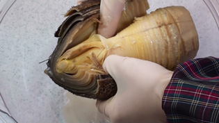 皮をむく