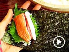 �T�[�������}�O���A�C�J�A��t�A�L����Ŋ����l�q�i����j