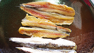 ��J���Œ������Ƃ����A���`���r