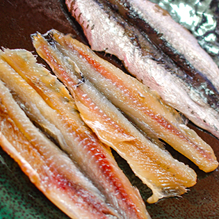 �A���`���r�̍���