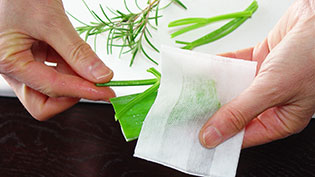 �l�M�A���[�Y�}���[�A�p�Z���̎��������p�b�N�ɓ���ău�[�P�K���j������Ă���